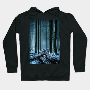 Snowy Forest in the Fog Hoodie